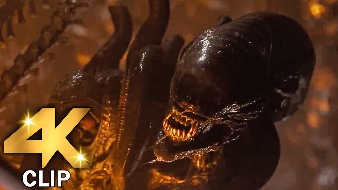 Xenomorph Chase Scene Alien Romu