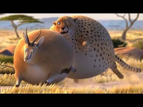Divertidos Animales Gordos Corto
