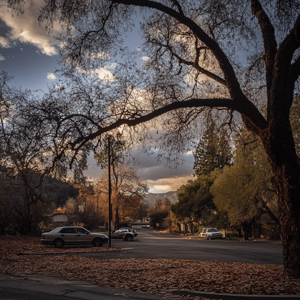 Ferndale Ca