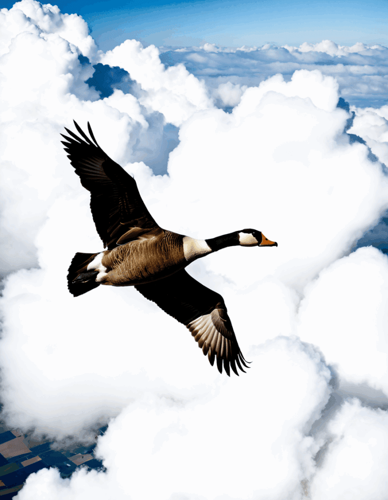 Goose from Top Gun