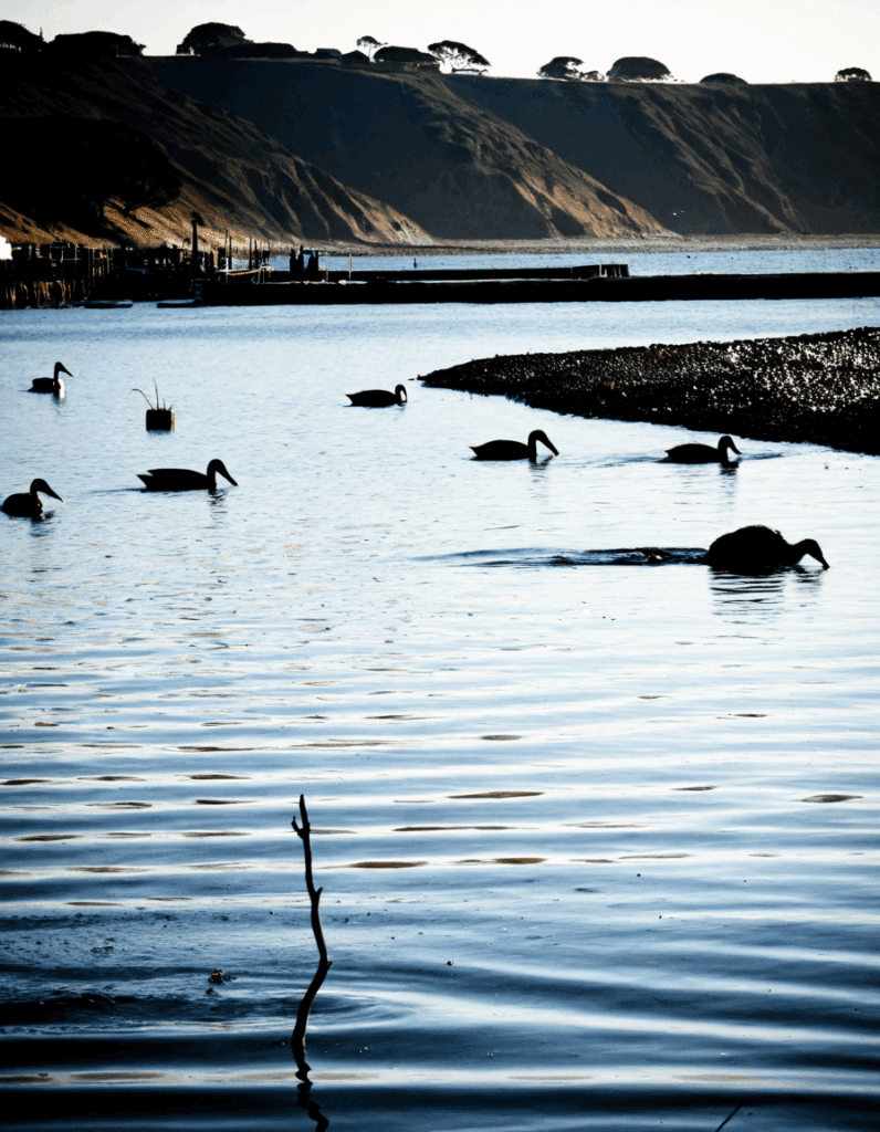 The Bay 2012
